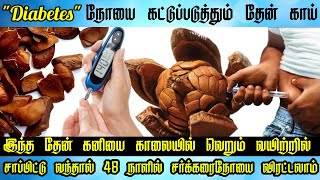 சர்க்கரை நோயை விரட்டும் தேன் காய் ~ How To Use Sky Fruit For Diabetics ~ Then Kani Benefits in Tamil