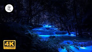 Forest Sounds at Night - Crickets, Creek Water Sounds, Rain & Thunder 🎧 Nature Sound