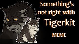 Something's not right with Tigerkit [MEME]