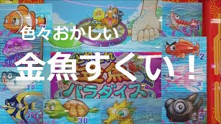 【全当たり＋ボーナス】とれとれ金魚パラダイス