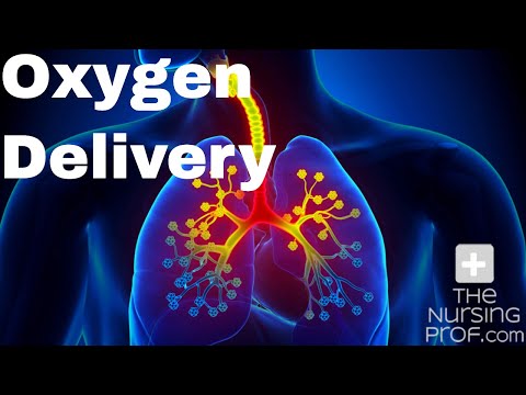 Oxygen Delivery - YouTube