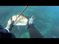 mixalis simitsaki spearfishing 🇬🇷 σαργός