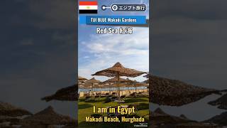 【2025エジプト旅】１月の美しい紅海・マカディビーチ【TUI BLUE Makadi Gardens】  #shorts #旅行 #egypt #hurghada