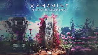 Xamanist - Connected