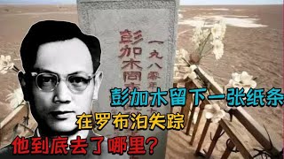 1980年，彭加木留下一张纸条，在罗布泊失踪，他到底去了哪里？