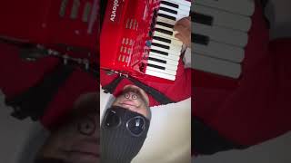 Emmanuelle - Very Beautiful melody (live accordion cover) Funny chin #shorts