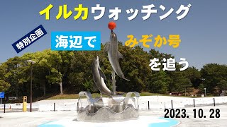 【天草エアラインみぞか号】天草エアラインみぞか号を福岡の海辺で撮影しました。