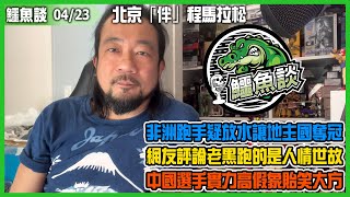 20240423《鱷魚談》:北京「伴」程馬拉松！非洲跑手疑放水讓地主國奪冠！網友評論老黑跑的是人情世故！中國選手實力高假象貽笑大方！贊助商為證明自家產品實力，變成全員皆輸的賽果！