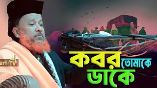 ২০২৪ সালের নতুন ওয়াজ | আব্দুর রহমান রেজভী ওয়াজ 2024 | Abdur Rahman Rezvi Waz | Taheri TV