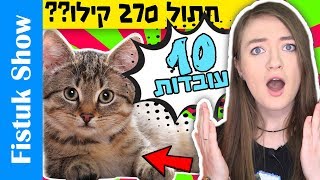 טופ 10 עובדות שלא ידעתם על חתולים! עובדות מדהימות