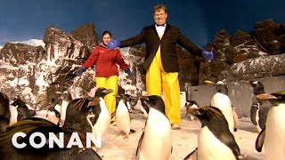 Andy Richter Visits The Seaworld Penguins | CONAN on TBS