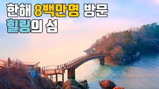 기대이상으로 좋았던 17.7km 트레킹 코스🚶 섬, 산, 바다 올인원코스🤗 국내 유일 수도권 람사르습지🚍 대중교통