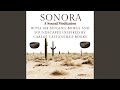 SONORA - A Sound Meditation inspired by Carlos Castaneda with the sound of 108 singing bowls