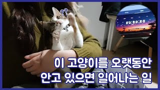 이 고양이를 오랫동안 안고 있으면 일어나는 일 (ENG sub) [꾹푸름]