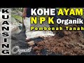 Dekomposer M21 Untuk Membuat Pupuk Kandang Pembenah Tanah Dari Kotoran Hewan Xtrans Organik Kuansing