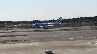 【ANA】A380「空飛ぶウミガメ(FLYING HONU)」(@成田空港) [JA381A]