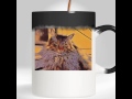 Grumpy Cat Coffee Mug - Angry Cat Heat Color Changing Cup