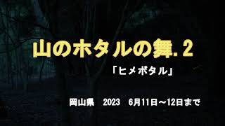 山のホタルの舞. 2「ヒメボタル」　岡山県　2023　6月11日～12日まで