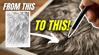How to Draw Realistic Fur Like a Pro