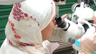Colposcopy demonstration