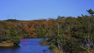 伊豆の瞳 一碧湖（動画編）