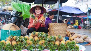 Harvest Spring Pineapple \u0026 Bring It To Market To Sell, Grass Harvest Animal Care - Spring Crop Care