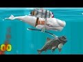 Hungry Shark Evolution Moby Dick Android Gameplay #15