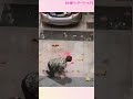 【笑撃！中国の爆笑映像】笑顔をお届け shorts＃爆笑＃china funny memes chinese people 中国 china travel funny moments