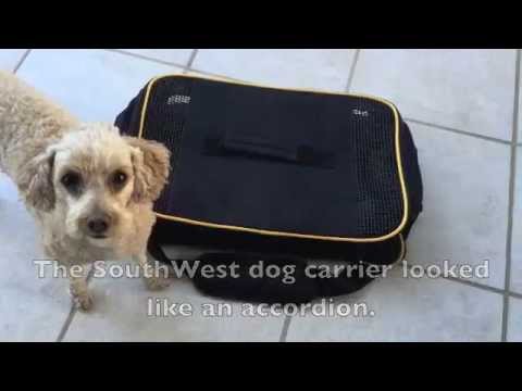 Dog Carrier for under the seat on Southwest Airline Dog Carrier for under the seat on Southwest Airline