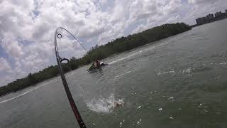 Big Little Hickory Redfish