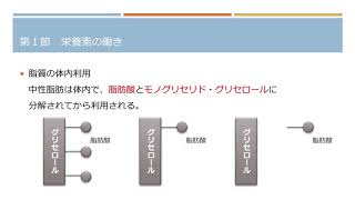 【製菓衛生師国家試験】栄養学第２章　脂質