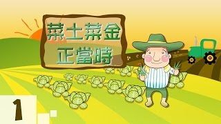 菜賤傷農 年復一年上演！