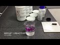 Demonstration: Reactivity of Group 1/Alkali Metals