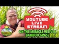 LIVE with VETIVER GRASS KING SABAH© INTERNATIONAL 🆘 WORMS  is live! WORMS TECHNOLOGY SOS 17.3.2024