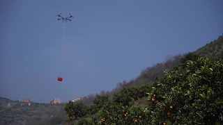 山岳地帯の果物収穫にドローンが活躍　湖北省宜昌市