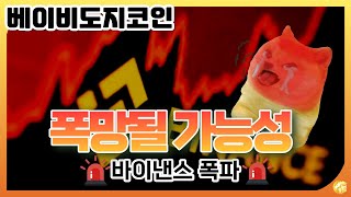 베이비도지코인 폭망될 가능성(바이낸스 폭파) 【베이비도지코인 알아보기】