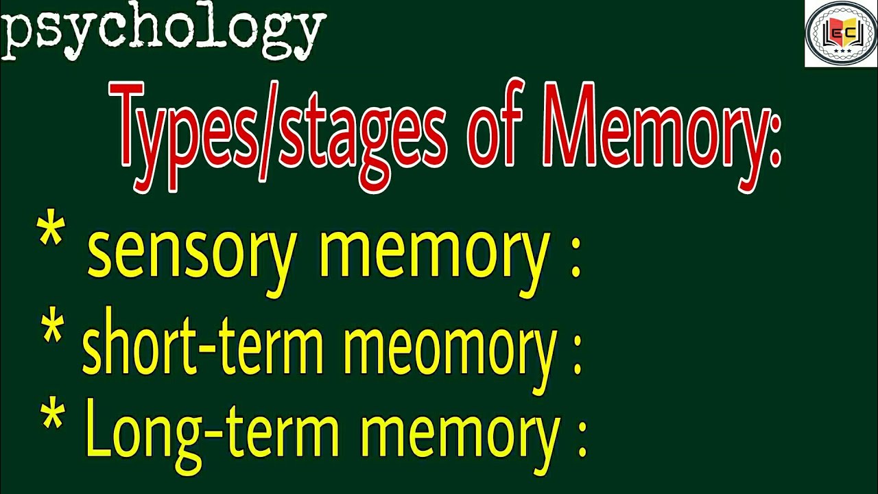 Types Of Memory In Psychology|psychology|sensory Memory , Short And ...