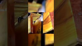 woodworking. kayu nangka kuning emas di sawmill #shorts #viral #woodworking