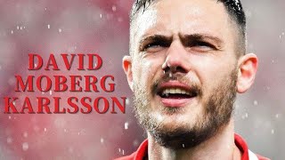 浦和レッズの必殺仕事人 ダヴィド・モーベルグ David Moberg Karlsson