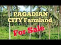 Property # 11) PAGADIAN CITY CHEAPEST FARMLAND