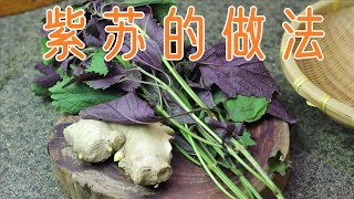 紫苏加姜，教你好吃新做法，解暑解馋还下饭，从此我家少不了。A new method of perilla and ginger 2021丨chinese food