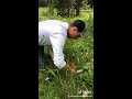 porcini hunting in telluride colorado