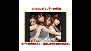 SPEEDメンバーの現在 唯一平穏な島袋寛子、新垣仁絵の解散後の活動は？