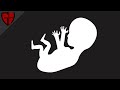 The Numbers Behind Abortion | Casual Historian