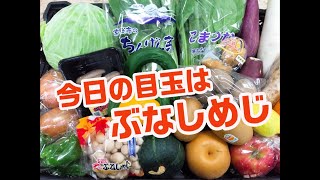 9/26本日のお野菜ーみためとあじはちがう店