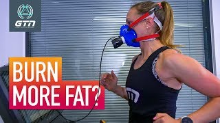 What Is The Best Intensity To Burn Fat? | How To Use Body Fat As An Energy Source
