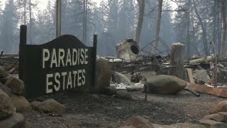 Más de 40 muertos y 200 desaparecidos en California