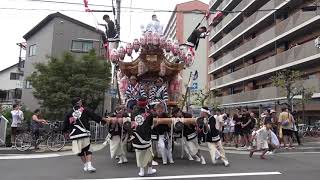 2023.9.10(日) 中野區 だんじり 中野八幡神社例祭 秋祭り 神戸市東灘区