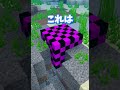 【マイクラ都市伝説】隠された呪いの部屋　 マイクラ マインクラフト shorts