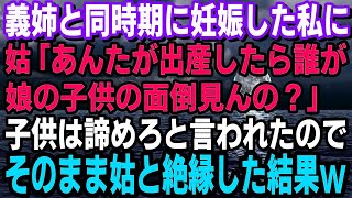 【スカッとする話】義姉と同時期に妊娠した私に姑「あんたが出産したら誰が娘の子供の面倒見んの？」子供は諦めろと言われたので私「わかりました、孫は産みません」そのまま義母とは縁を切った結果w